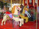 Outside Row and 2nd Row Dare Horses and 3rd Row Roebuck Horse